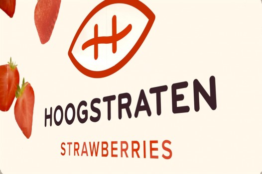 Hoogstraatse aardbeien